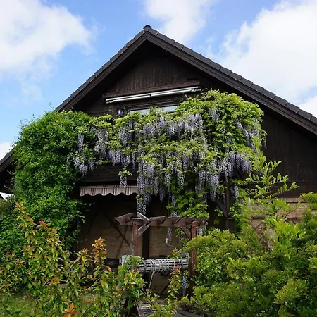 Picturesque In Neu L Dershagen With Terrace Garden *