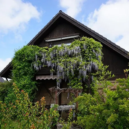 Picturesque In Neu L Dershagen With Terrace Garden Apartment Wendorf (Mecklenburg-Vorpommern)