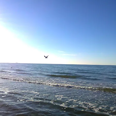 Comfortable In Neu Ludershagen Near Baltic Coast Apartment *